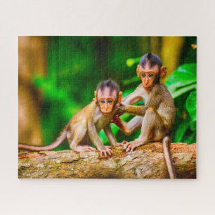 Quebra-cabeça Macacos novos