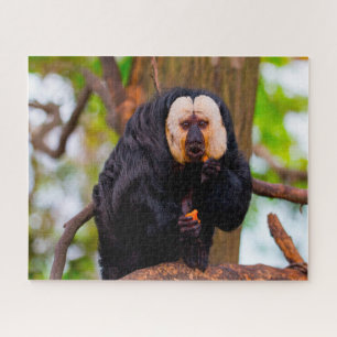 Quebra-cabeça Macacos Saki.