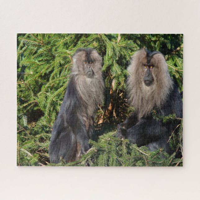 Quebra-cabeça Macaques de cauda longa balinesa. (Horizontal)