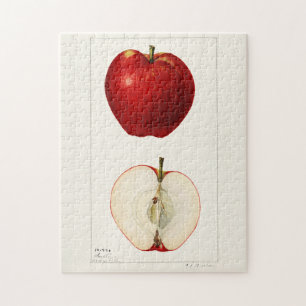 Quebra-cabeça Maçãs (Malus Domestica) Fruta Impressão por Aquare