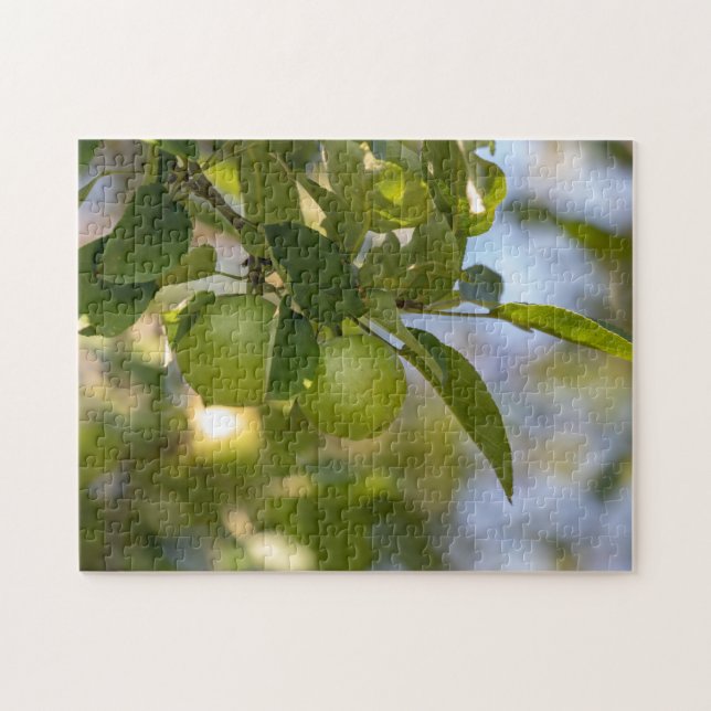 Quebra-cabeça Maçãs no Branch (Horizontal)
