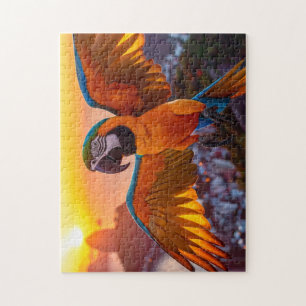 Quebra-cabeça Macaw