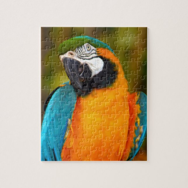 Quebra-cabeça Macaw Majestoso (Vertical)