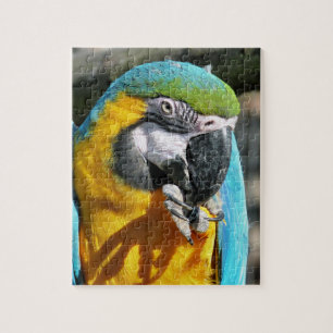 QUEBRA-CABEÇA MACAWS