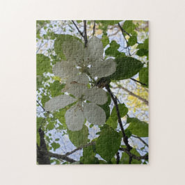 Quebra-cabeça macieira