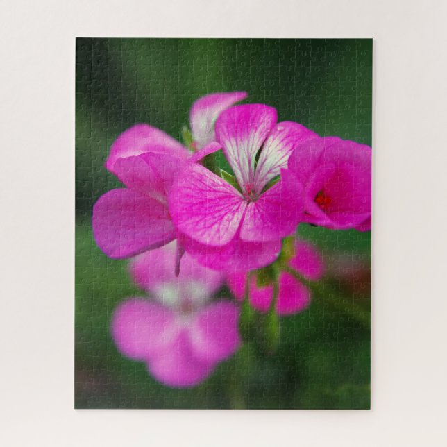 Quebra-cabeça macro de flor rosa (Vertical)