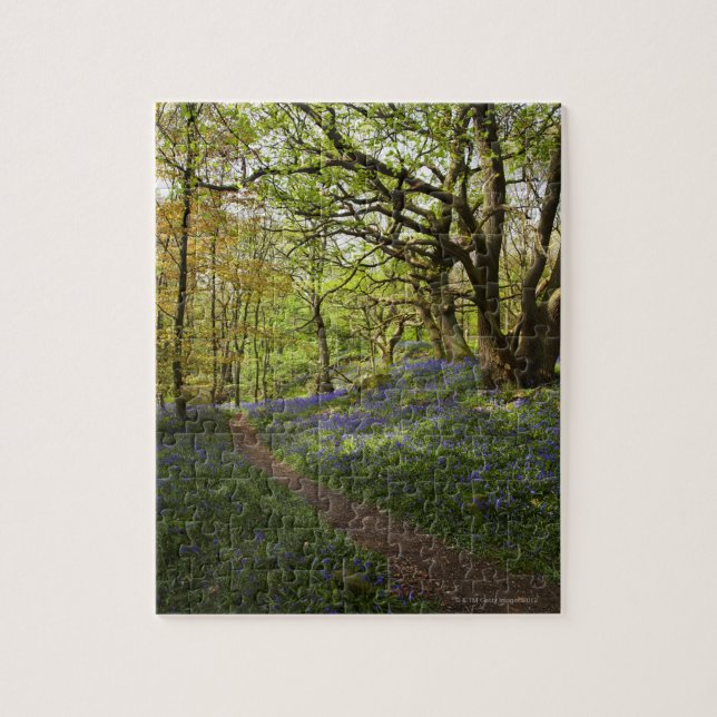 Quebra-cabeça Madeiras do bluebell do primavera (Vertical)