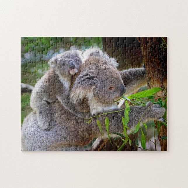 Quebra-cabeça Mãe e bebê de Koala numa árvore (Horizontal)