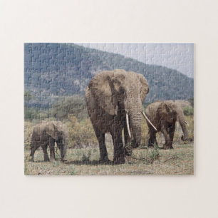 Quebra-cabeça Mãe elefante andando com filhote de elefante