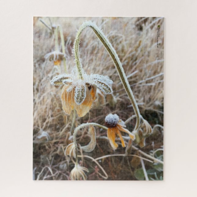 Quebra-cabeça Mãe Natureza Tocou Flores Rudbeckia Congeladas (Vertical)