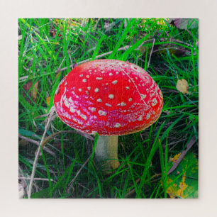 Quebra-cabeça Magic Mushroom Fungi Red Nature Scende Outdoor Jig