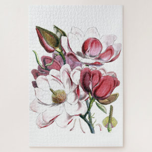 Quebra-cabeça Magnolia Asia Flower Vintage Antiga Ilustração