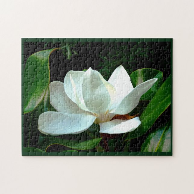 Quebra-cabeça Magnolia Closeup (Horizontal)