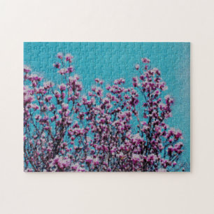 Quebra-cabeça Magnolia Rosa Blossomo Céu Azul Pintura Fotográf