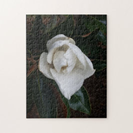 Quebra-cabeça magnólias 1