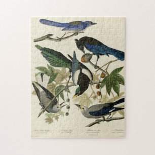 Quebra-cabeça Magpie Jays & Nutcracker Audubon Birds da América