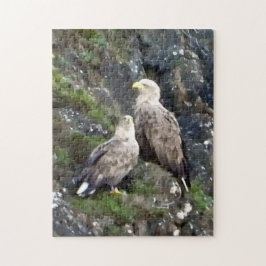 Quebra-cabeça Majestosa Ave de Rapina Águia de Cauda Branca Par
