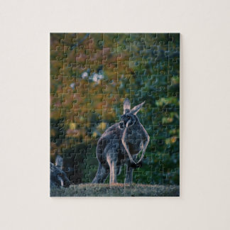 Quebra-cabeça Majexpressa Kangaroo