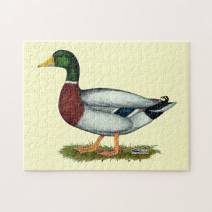 Quebra-cabeça Mallard Duck Drake