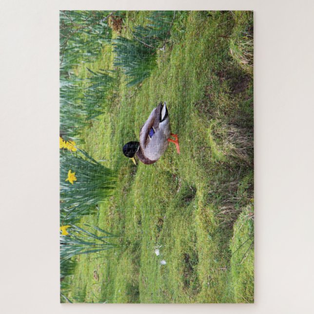 Quebra-cabeça Mallard duck on the bank of a river (Vertical)