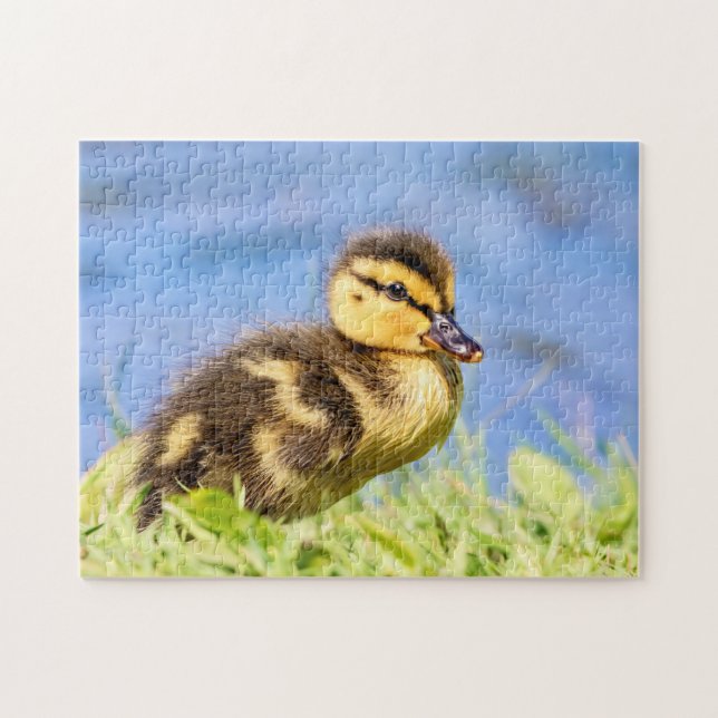 Quebra-cabeça Mallard Duckling (Horizontal)