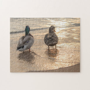 Quebra-cabeça Mallard Ducks on Beach
