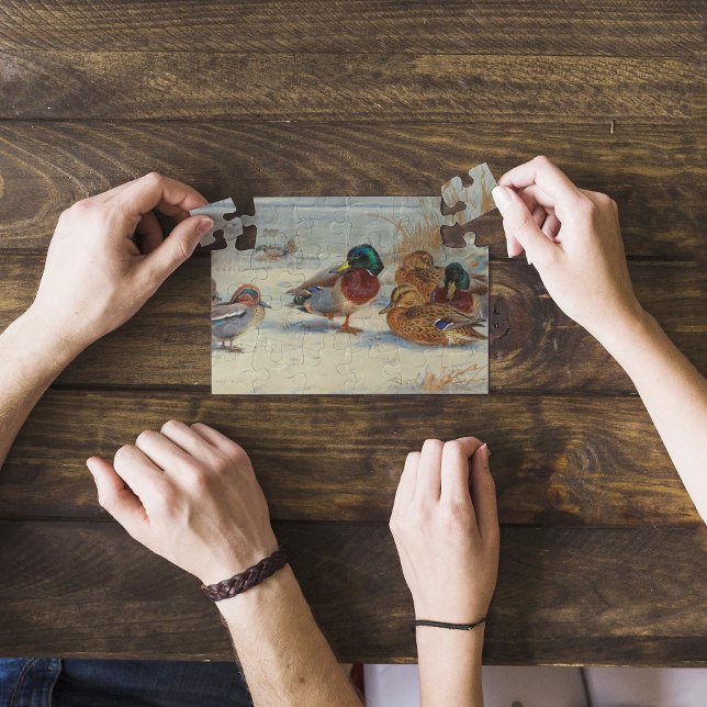 Quebra-cabeça Mallard e chalé na neve, Aves (Criador carregado)