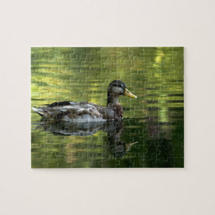 Quebra-cabeça Mallard Espelhado Na Água Verde