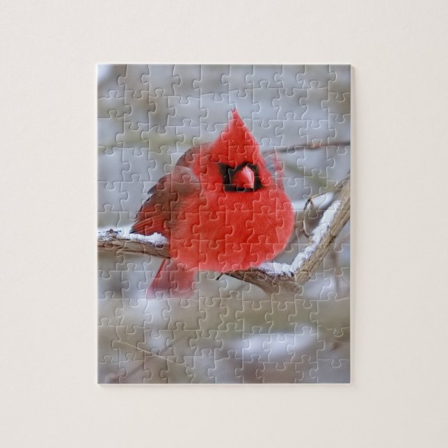 Quebra-cabeça Malw_Cardinal_puzzle  (Vertical)
