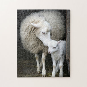 Quebra-cabeça Mamãe e Baby Sheep