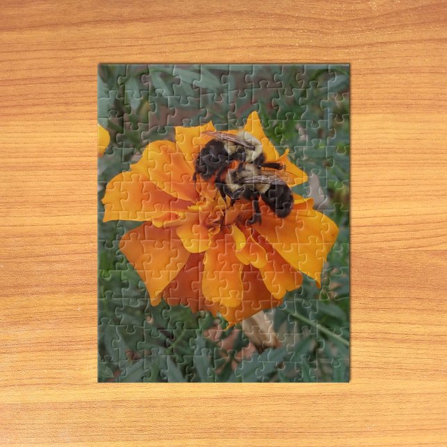 Quebra-cabeça Mamangabas na Flor Marigold (Bumblebees on Marigold Flower Jigsaw Puzzle on Table)