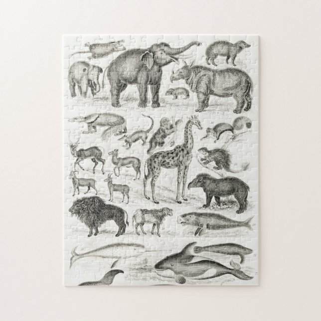 Quebra-cabeça Mammalia Branca e Negra (Vertical)