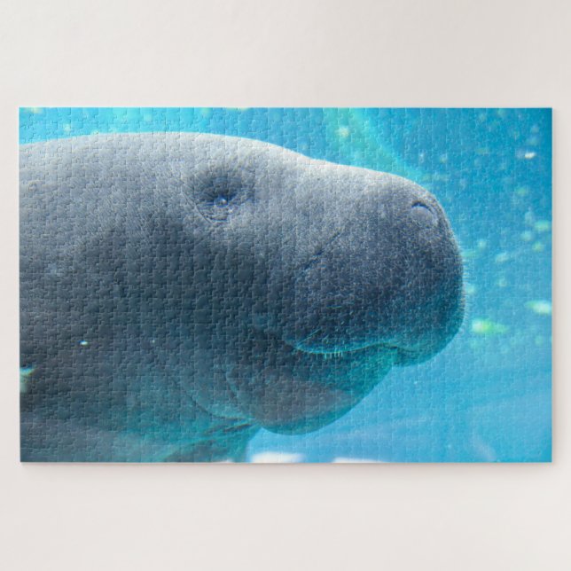 Quebra-cabeça Manatee (Horizontal)