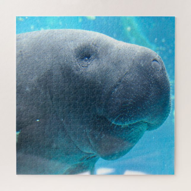 Quebra-cabeça Manatee (Horizontal)