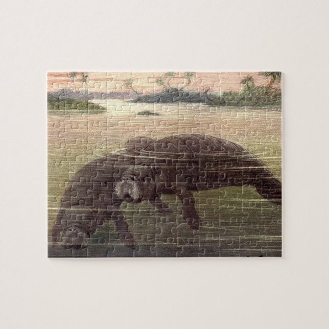 Quebra-cabeça Manatis ou Vacas Marinhas Antigas, Mamíferos Marin (Horizontal)