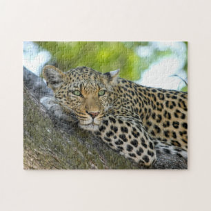Quebra-cabeça Manchas-leopardo