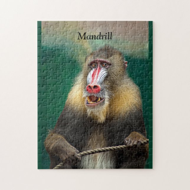 Quebra-cabeça Mandrill, África (Vertical)