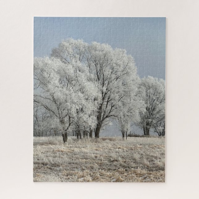 Quebra-cabeça Manhã nevada em Iowa (Vertical)