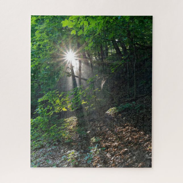 Quebra-cabeça Manhã Sunbeams Através da Floresta de Kaposia Park (Vertical)