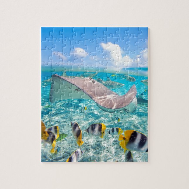 Quebra-cabeça Manta Ray (Vertical)