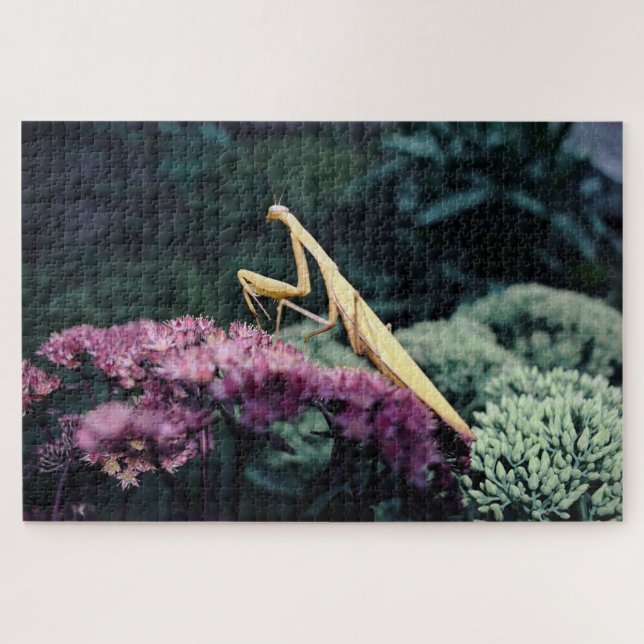Quebra-cabeça Mantis Oração Roxa - 20x30'' 1014 Pe (Horizontal)