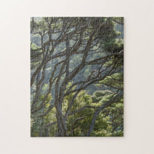 Quebra-cabeça Manuka Tree Forest Nova Zelândia