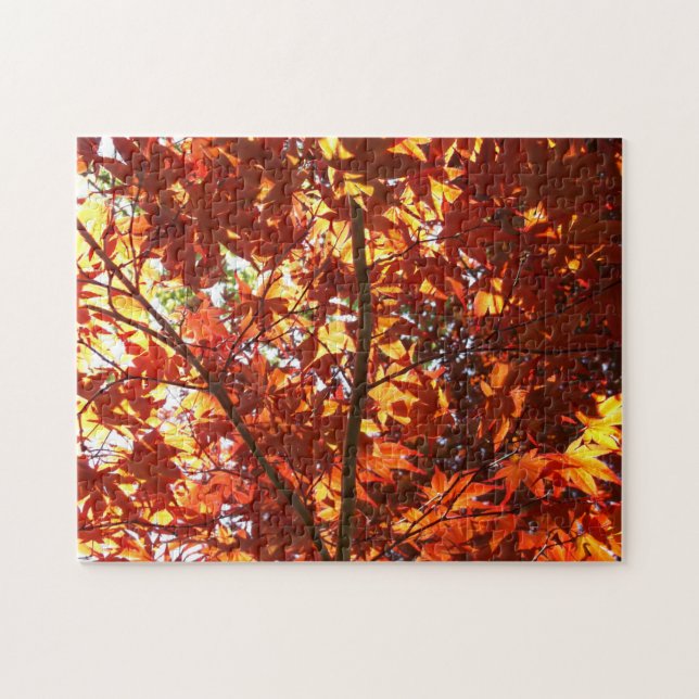 Quebra-cabeça Mapeamento Japonês no Sol (Horizontal)