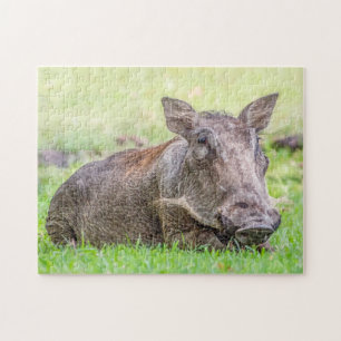Quebra-cabeça maravilhoso de Warthog