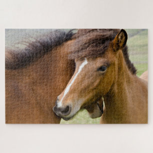 Quebra-cabeça Mare E Colt