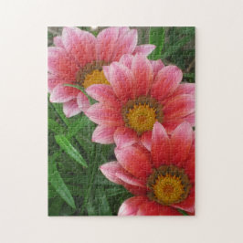 Quebra-cabeça margarida africana