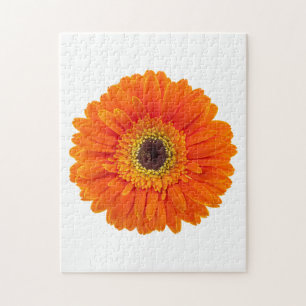 Quebra-cabeça Margarida alaranjada do Gerbera