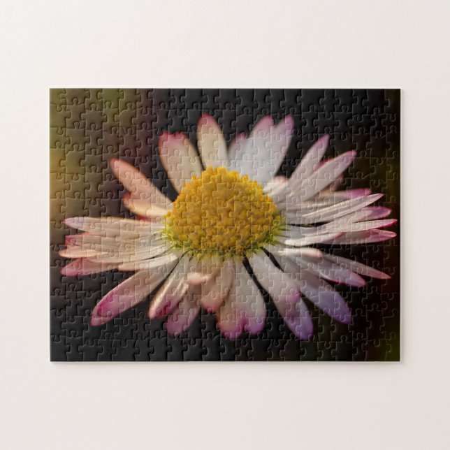 Quebra-cabeça Margaridas (Horizontal)