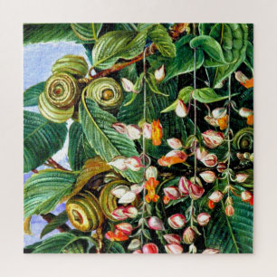 Quebra-cabeça Marianne North: Um Carvalho Darjeeling,