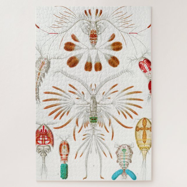 Quebra-cabeça Marine Life Crustaceans, Copepoda by Ernst Haeckel (Vertical)